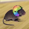 hunter_hamburg's profile picture. Moin. Krieg. Inflation. Einsamkeit. Wofür das alles? (he/him) 🕊️💙💛☮️