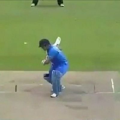 Indian cricket fan