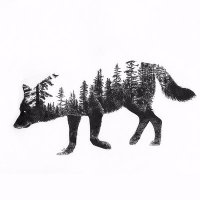 Волкот од шумата 🌲(@wolf_forest_228) 's Twitter Profile Photo