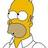 Homer