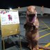 UPS Safetysauras Rex (@upreload) Twitter profile photo UPS Safetysauras Rex (@upreload) Twitter profile photo