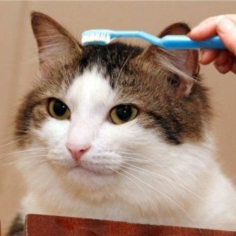 Broskіさんのプロフィール画像
