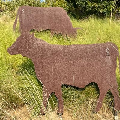 luke_pamplin's profile picture. 