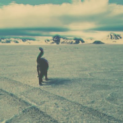 tuna_liquid's profile picture. astral spirit dog/cat . saggitarius