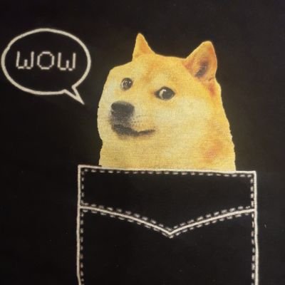 E_God_Doge's profile picture. HODL Dogecoin
