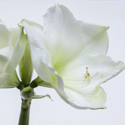 helmi35152605's profile picture. 