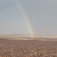 بدر العنزي (@7alonezi) 's Twitter Profile