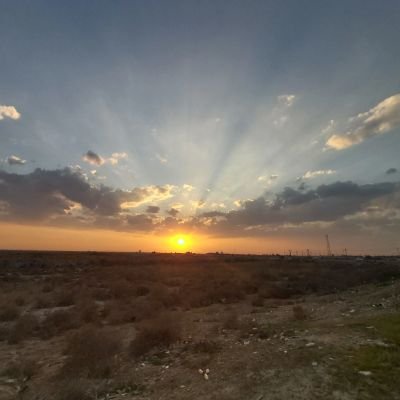husamfaraj's profile picture.