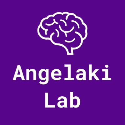 Neuroscience lab investigating circuitry and models of navigation and multi-sensory integration