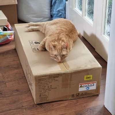 zek497's profile picture. 