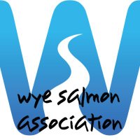 Wye Salmon Association(@WyeSalmon) 's Twitter Profile Photo