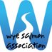 Wye Salmon Association (@wyesalmon) Twitter profile photo Wye Salmon Association (@wyesalmon) Twitter profile photo