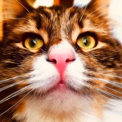 gy_nm7ey's profile picture. 龍の形をした この島国を愛しています🇯🇵❣ 只今一瞬を生きるだけ“ 納得出来ない事に関しては正直に意見を指して頂きます。