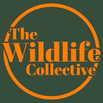 A collective of wildlife NFT photographers

Take A Walk On The Wild Side

https://t.co/NraFM1ButK

https://t.co/kU2FVzJbJD

Discord: https://t.co/8EAmcnIrHS

.