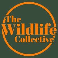The Wildlife Collective (@wildlife_nfts) 's Twitter Profile