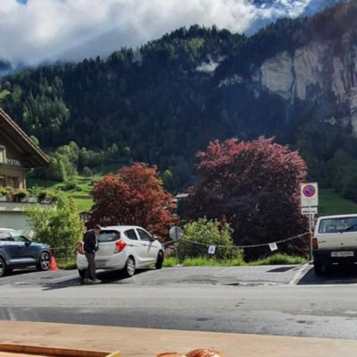 nast____11's profile picture. -