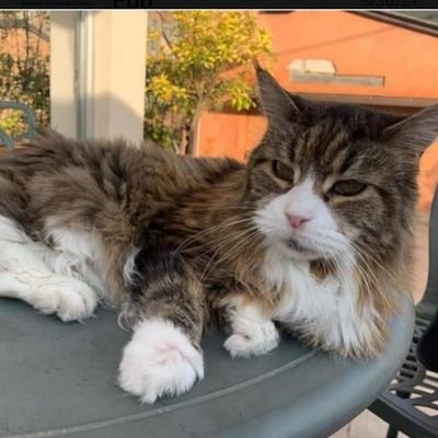 EbrimaJ02969953's profile picture. 