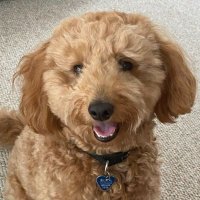 Jeff Griffin (@jg_griff) 's Twitter Profile
