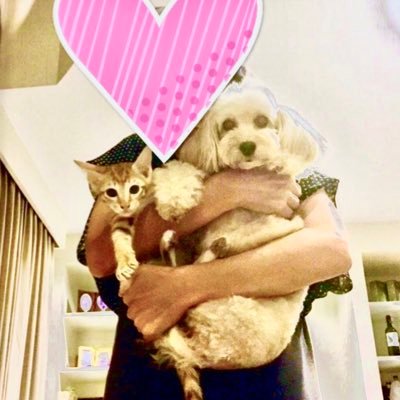 好きなこと→🏌️♀️⛷⛺️ 🐶😸 🍵🏐、バンコクから帰国。タイ チョイホンのパパイヤ葉茶と気功でいつも元気です! パパイヤ茶のご注文はLINE:@ecx5843y パパイヤリーフ https://t.co/mZd6TjesKW 銀座東京クリニック