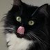 Foster (@fosteronquack) Twitter profile photo Foster (@fosteronquack) Twitter profile photo