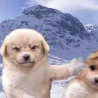 caucasian without the cockさんのプロフィール画像