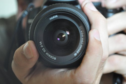 eduencisog's profile picture. 