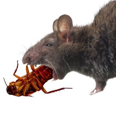 ChrisWo81577315's profile picture. 