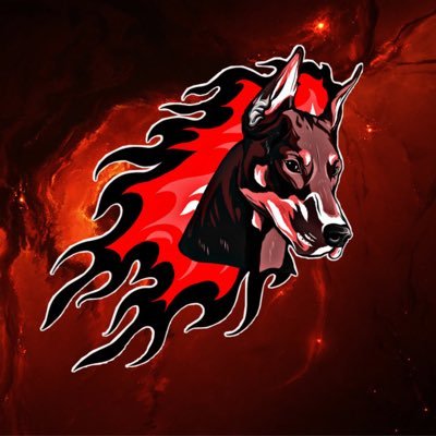 I am a Call Of Duty content creator! Follow me on my social medías and subscribe to my Twitch and YouTube channel!🔥❤️💯