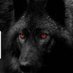 🐺 (@beaulew) Twitter profile photo 🐺 (@beaulew) Twitter profile photo