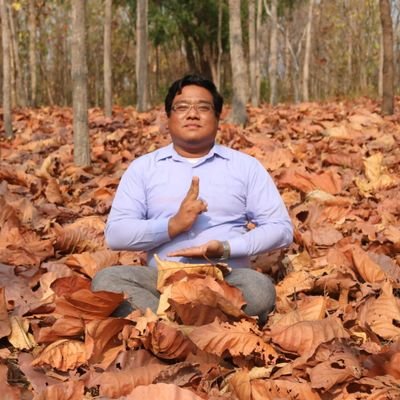 lynnmaunghtet's profile picture. Doctor(M.B.,B.S)