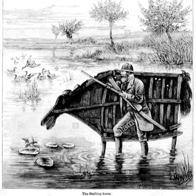 PillageProper's profile picture. 