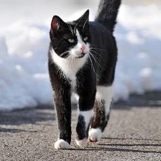 Chad_Minsk's profile picture. Victim of delusions, mostly harmless