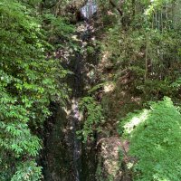 テクシード (@1kishi1) 's Twitter Profile Photo