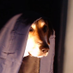 bofur (@bofur_hs) Twitter profile photo bofur (@bofur_hs) Twitter profile photo
