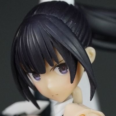 彩りがあります。メガミデバイスで遊んだりポニーテールにしたり。ディーラー桐和機巧で活動中　　通販→https://t.co/PTw2h14OUW