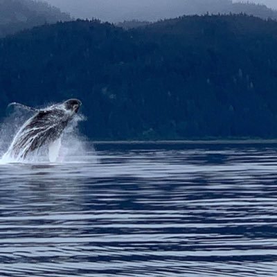 PaulWalp's profile picture. trying to figure it out.