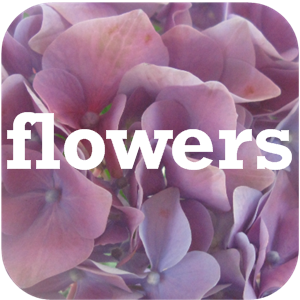 FlowersElkGrove's profile picture. Mom and daughter duo. Running Flowers by Fairytales in Elk Grove California.