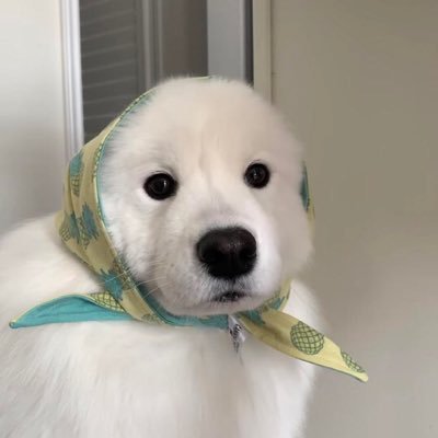 天命 อันฟอลได้เลยครับ