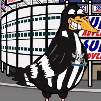 Hate Pigeons! And Zebras! Always nicking the food the vermin bastards.