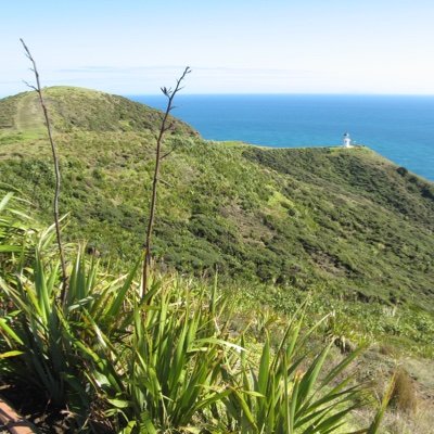 Associate Professor at the University of Auckland