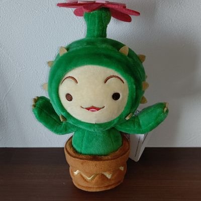 瑠架さんのプロフィール画像