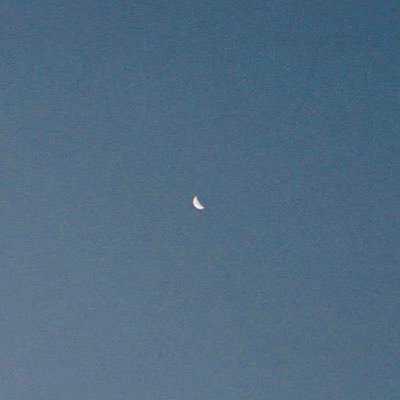 PECOさんのプロフィール画像