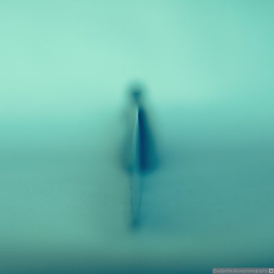 bittog9's profile picture. Photographer / geek Went down the Bitcoin rabbit hole in 2015. Money has no yield, no counterparty risk, money is not credit and has no memory. Say No to CBDC’s