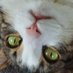 Ludwig Kot ☭ (@kotludwig) Twitter profile photo Ludwig Kot ☭ (@kotludwig) Twitter profile photo