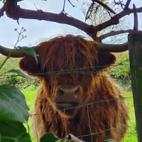 Niamh Robinson (@niamhro19554531) 's Twitter Profile