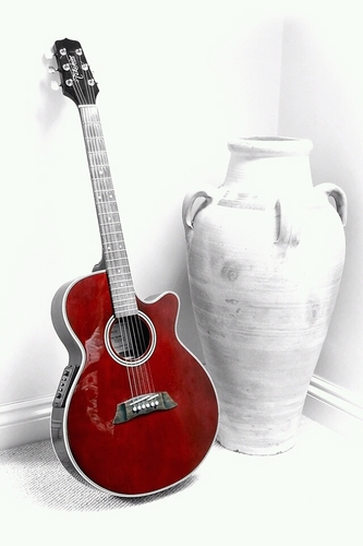 wva24zz7's profile picture. 