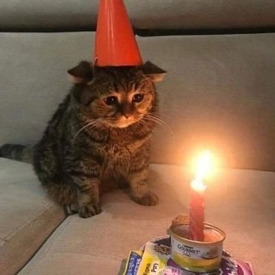 SENDING POSITIVE VIBES ALL DAY LONGš¼šā¤ļøš