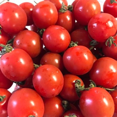 北海道のプレミアムプラス民。ブルーバッチ募集中!田舎暮らしや食べ歩きなど徒然テキトーにつぶやきます。料理/パン焼き/写真/家庭菜園/花/水耕栽培/英会話等々やりたいことたくさんです😊楽天ROOMオススメのもの垂れ流してます笑✨