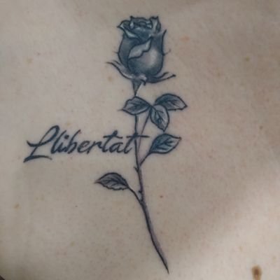 llibertat67 Profile Picture