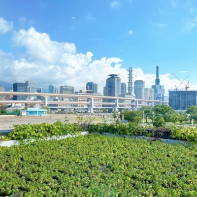 saikaihatsu_'s profile picture. 旅好きな人✈️🚃